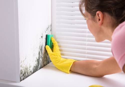 The Easiest And Fastest Way To Get Rid Of Mold On Walls Ceilings Without Having Wipe It Arabiaweather - How To Clean Mould In Bathroom Wall