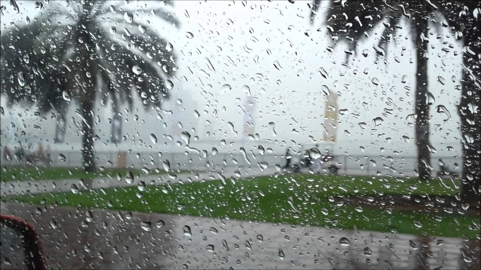 الأرصاد الدفء الذي شهدناه الاسبوع الماضي لم يأت بهذا التوقيت منذ بداية السجلات المناخية طقس العرب طقس العرب