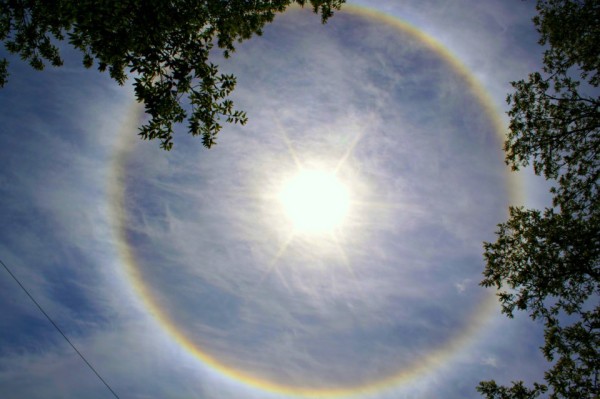 What is the sun's halo? | Stuff