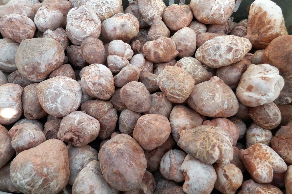 Learn about the most famous types of truffles in Saudi Arabia | ArabiaWeather | ArabiaWeather