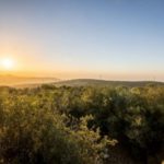 مسار عجلون السياحي