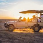 سفاري المها