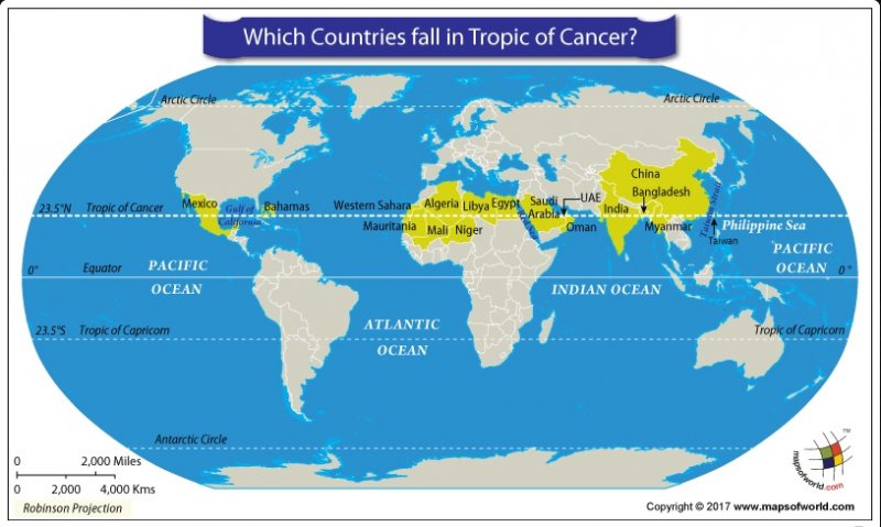 Tropic Of Cancer 