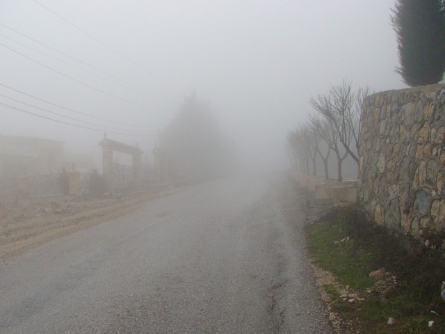 ���� ���� ������ �� ���� ������