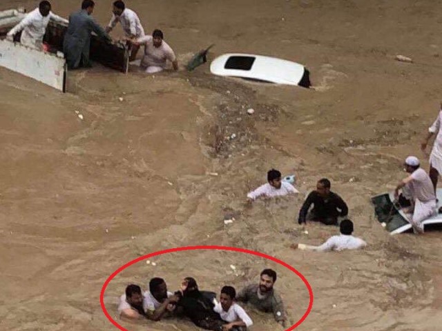 نقره لعرض الصورة في صفحة مستقلة